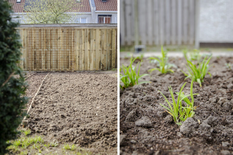 Foto van tuinaanleg in borne. Beplanting, schutting en moestuin.