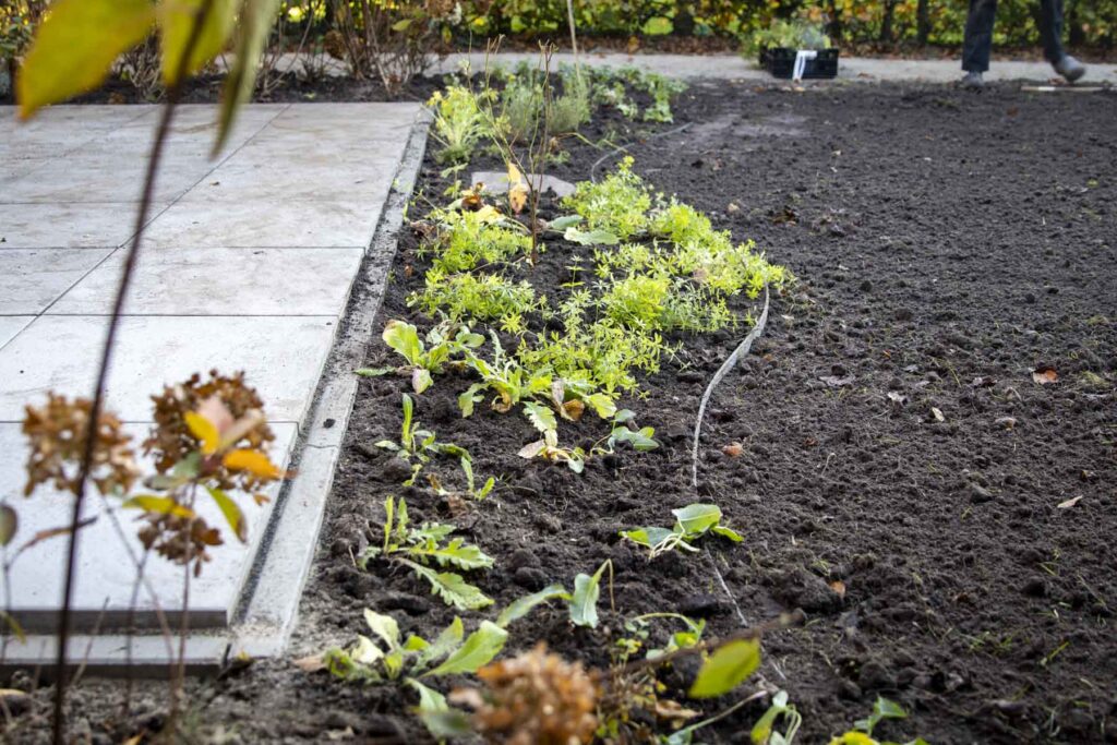 Foto tuinaanleg biodiverse tuin tubbergen