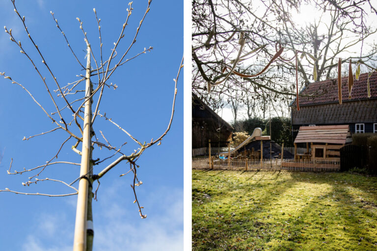 Foto van natuurlijk spelen tuin