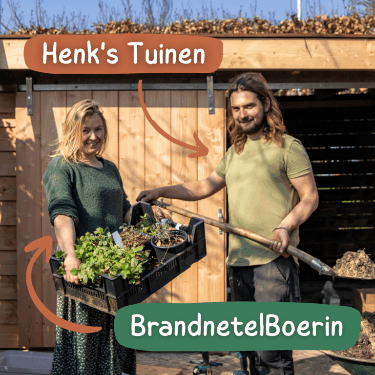 Foto van henks tuinen en brandnetelboerin, eetbare ecologische tuinaanleg hasselt zwolle ommen overijssel