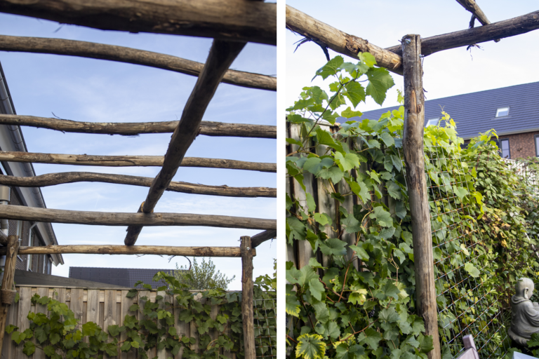 Aanleg natuurlijke tuin in Hasselt